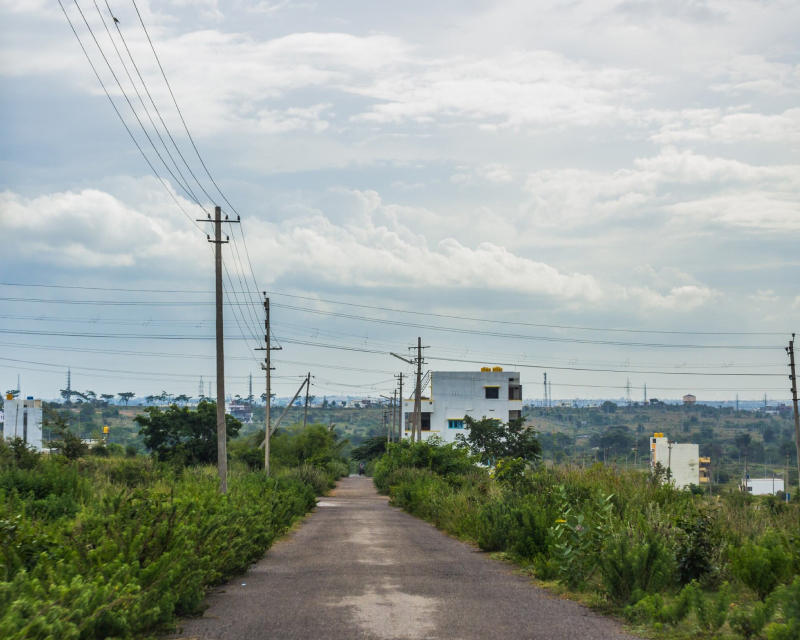 Rural road with electric wires on side.